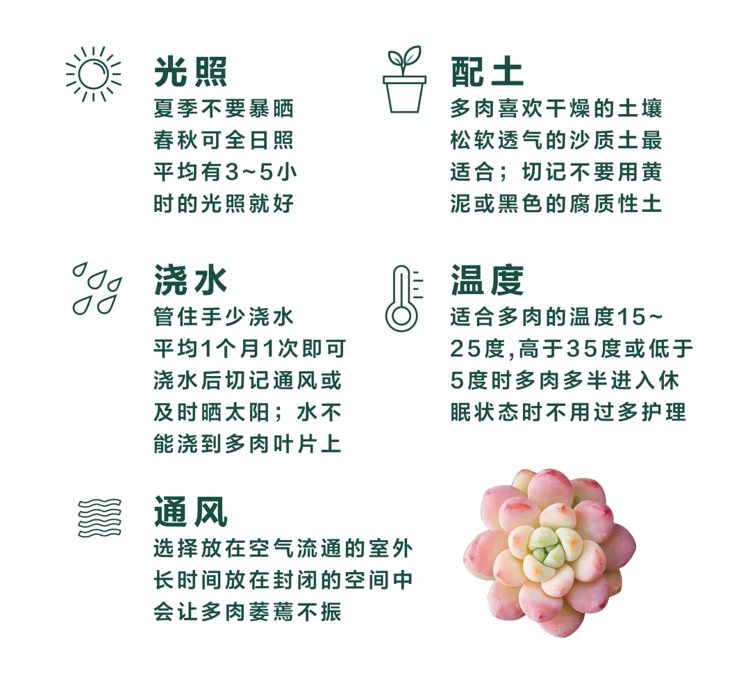 http://st-static1.fengjinggs.com/forums/2025/02/10/17391722467857.png