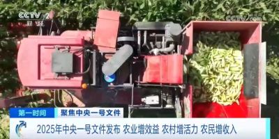 2025中央一号文件深度解读丨园艺景观行业迎来黄金发展期，三大机遇不可错过！