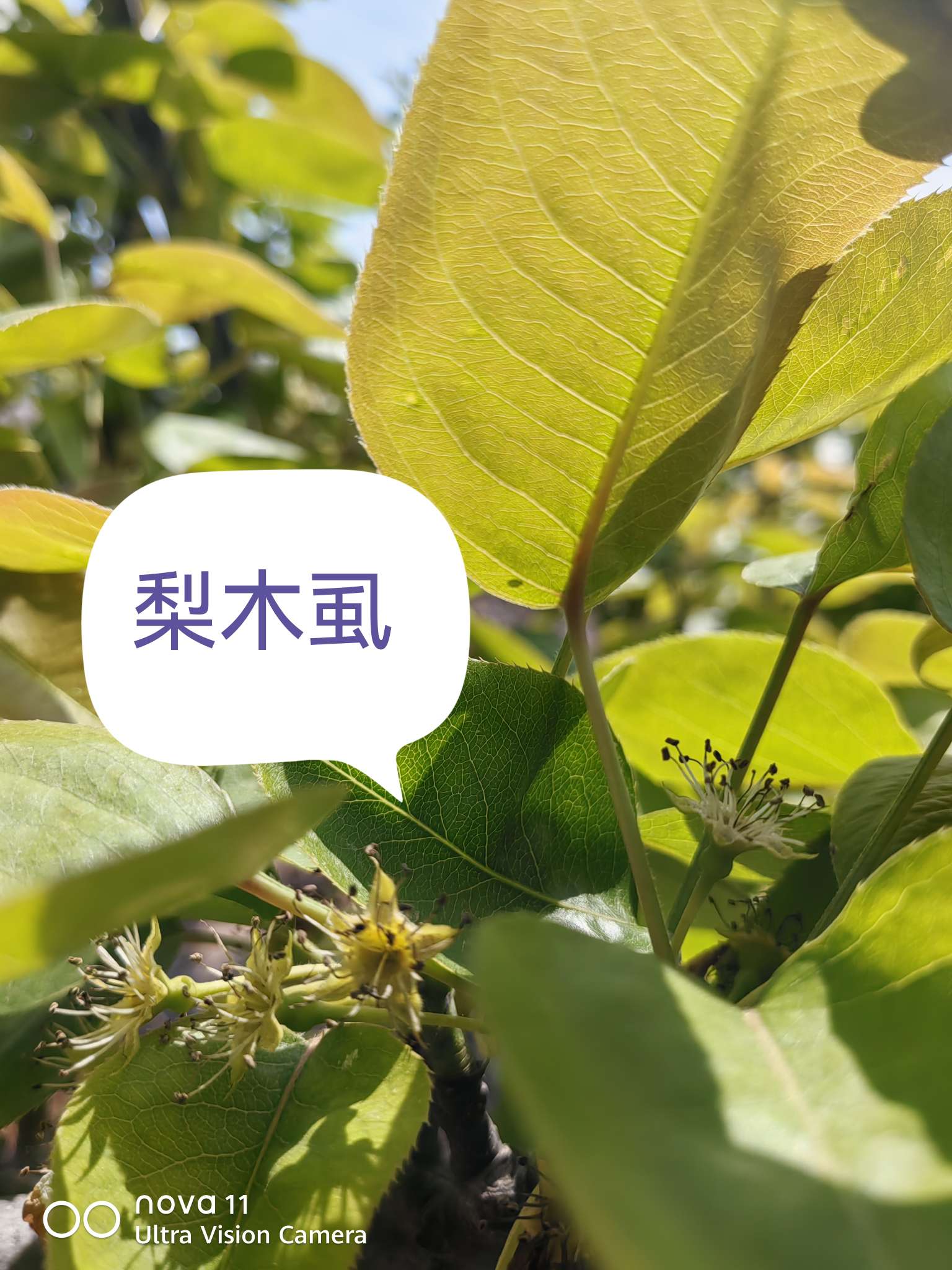 http://st-static1.fengjinggs.com/forums/2025/04/07/17440185417218.jpeg