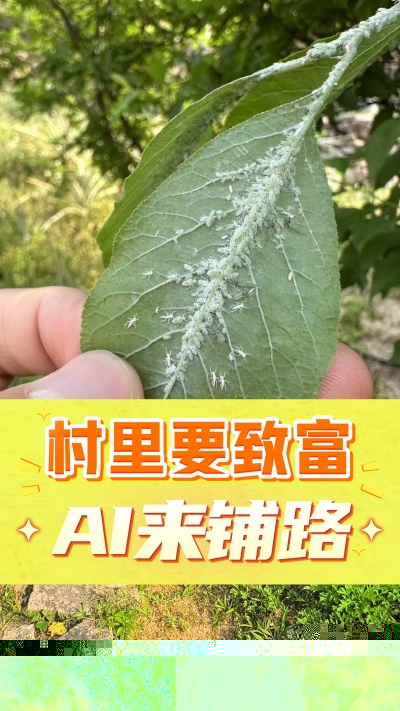 没有套路的农村AI工具，就是识农小程序