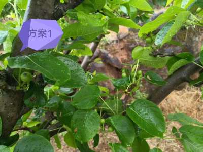 http://st-static1.fengjinggs.com/forums/2025/04/15/17446855953357.jpeg