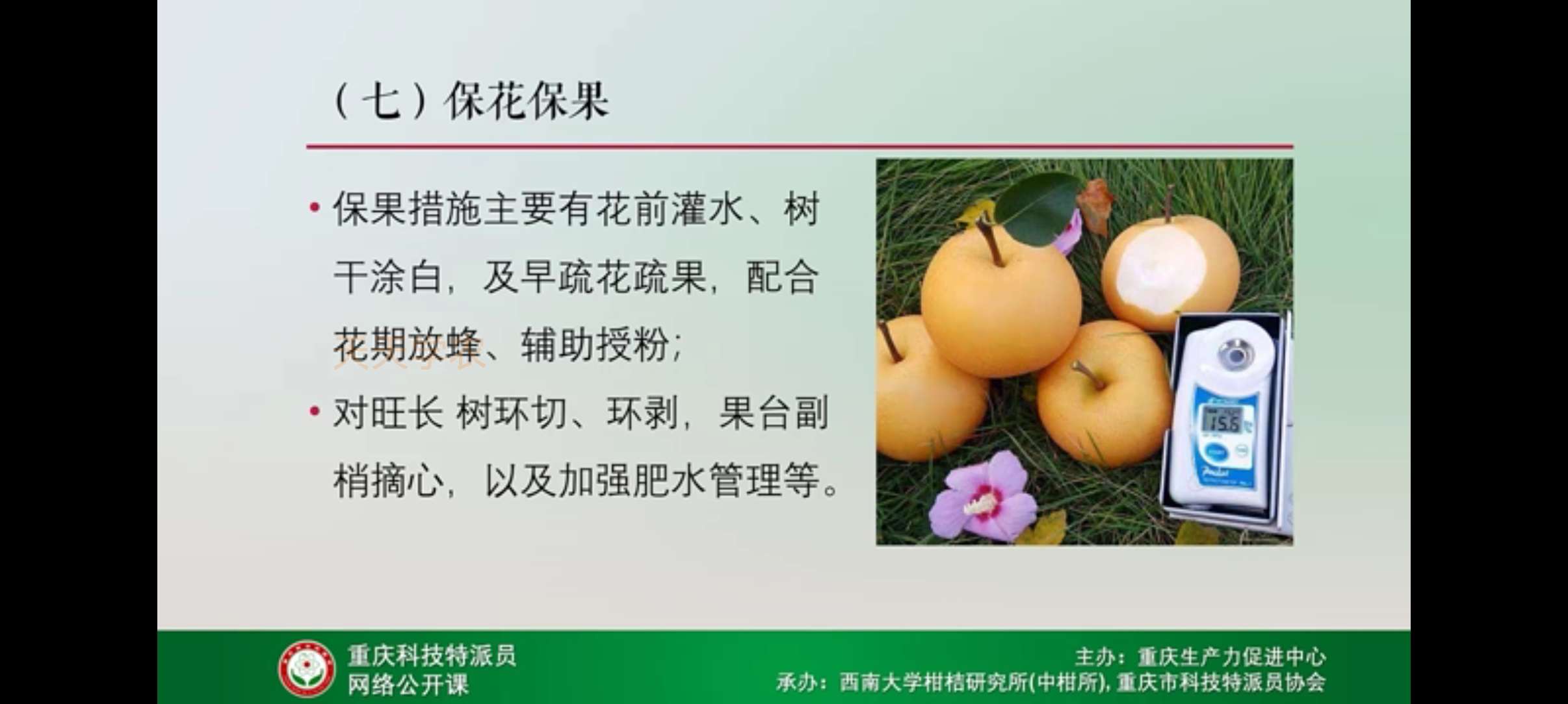 http://st-static1.fengjinggs.com/forums/2025/04/20/17451291568942.jpeg