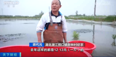 小龙虾越卖越便宜，这些养殖户还在赚钱