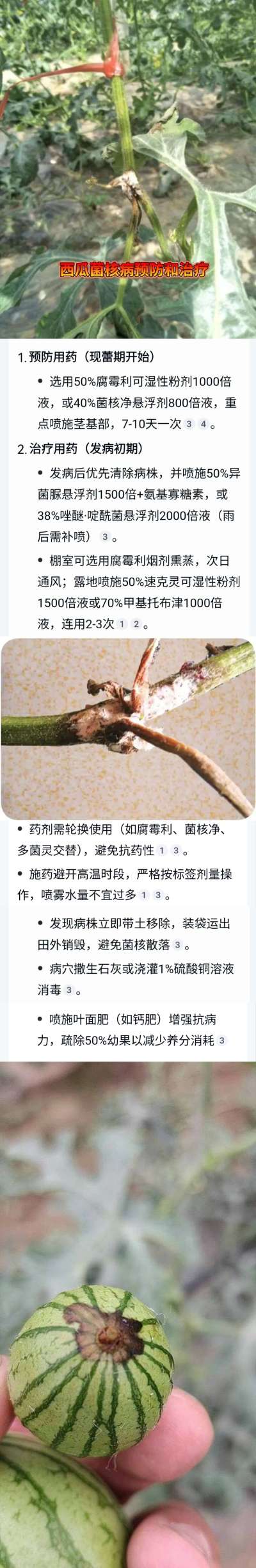 http://st-static1.fengjinggs.com/forums/2025/04/23/17453936646134.jpeg