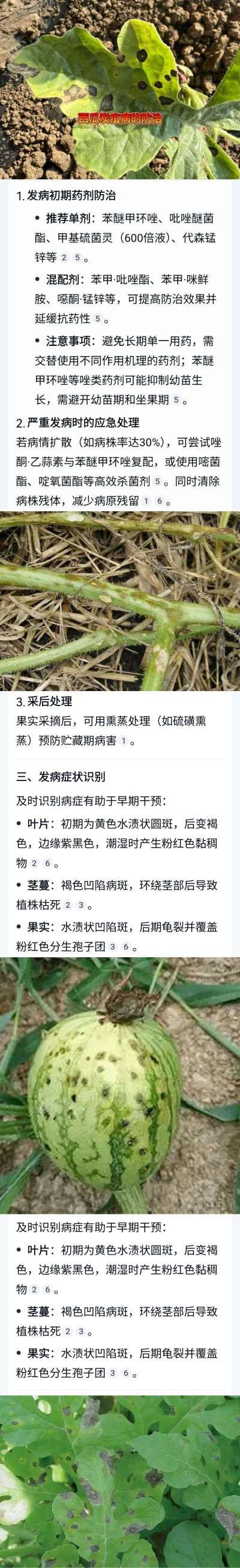 http://st-static1.fengjinggs.com/forums/2025/04/23/17453976802363.jpeg