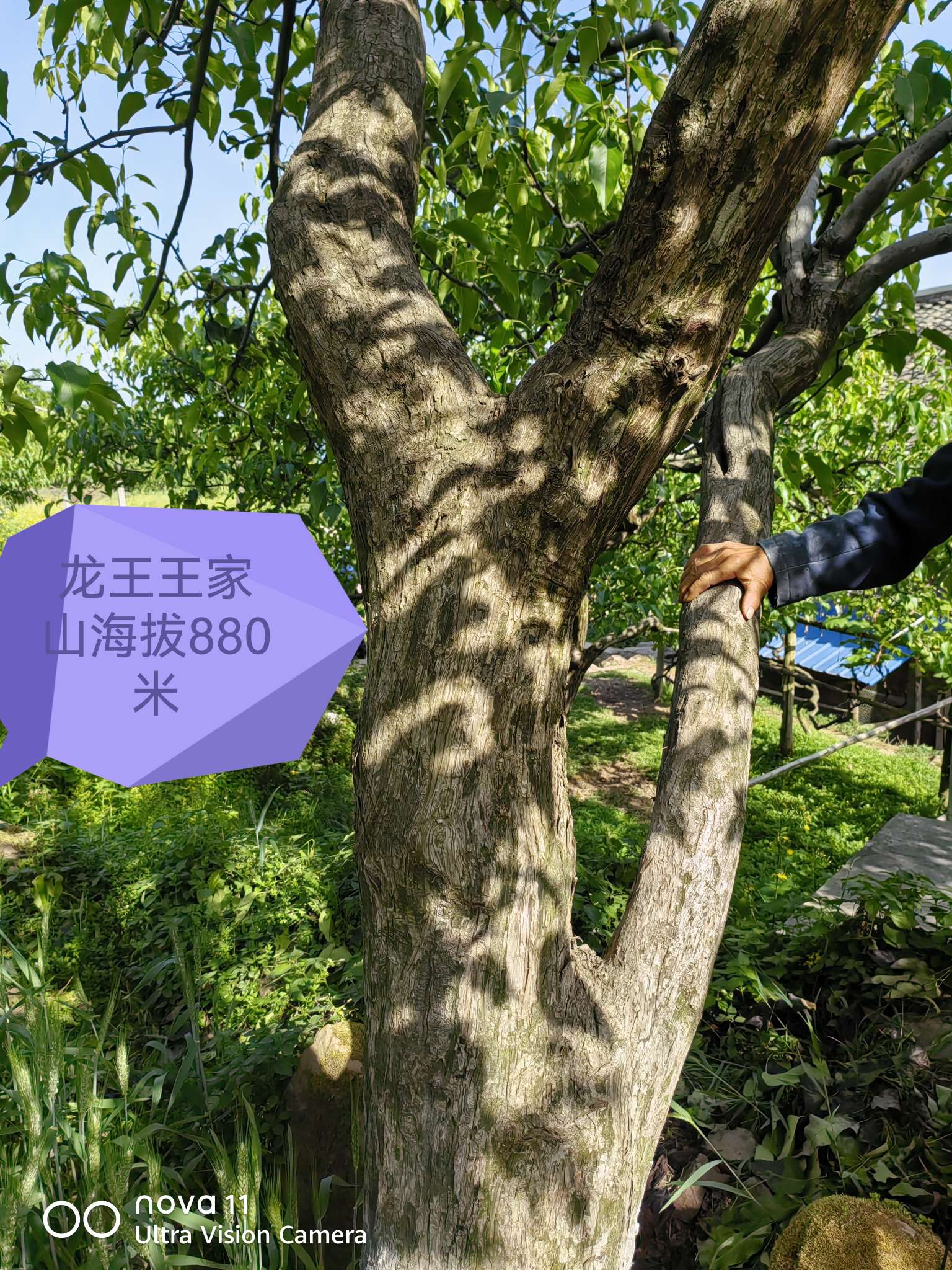http://st-static1.fengjinggs.com/forums/2025/05/03/17462414967573.jpeg