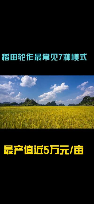 &ldquo;一田多收，藏着农业增收的密码！今天带您1分钟看懂水稻轮作的致富密码