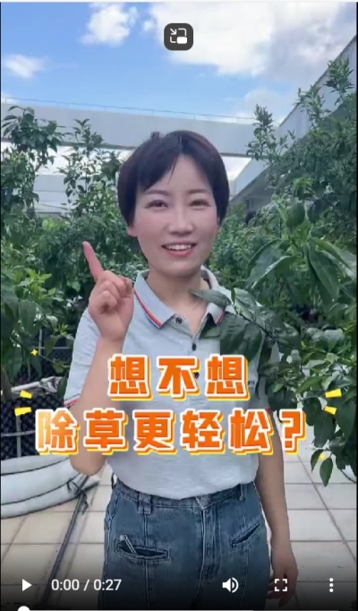 打了除草剂，死草慢，草死了两天又活了，怎么办？我教你一招