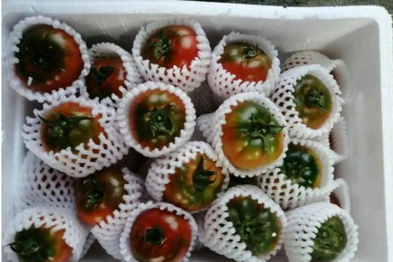 http://st-static1.fengjinggs.com/forums/2025/05/30/17485770606014.png