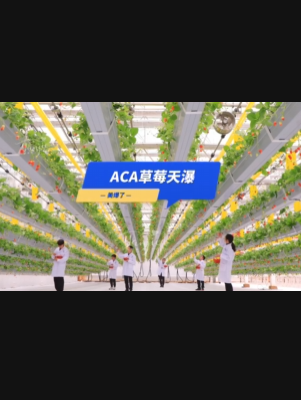 自由升降、追光生长。#ACA草莓天瀑，美爆了！向天再借500平！#ACA可控农业 #华维集团 #数字农业