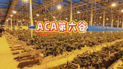 #ACA第六谷 模式，打造#ACA作物工厂，规划建园到栽培种植水肥管理一站式服务！#可控农业 #华维集团