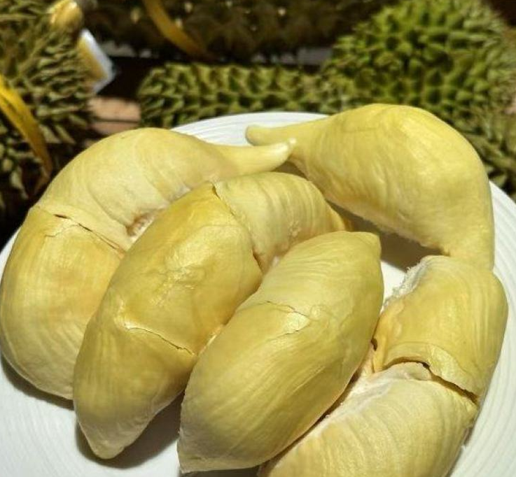 泰国甲仑榴莲
浓香满口，丝滑如奶油
甜甜糯糯，榴莲味浓郁
谁让它是泰国榴莲界的元