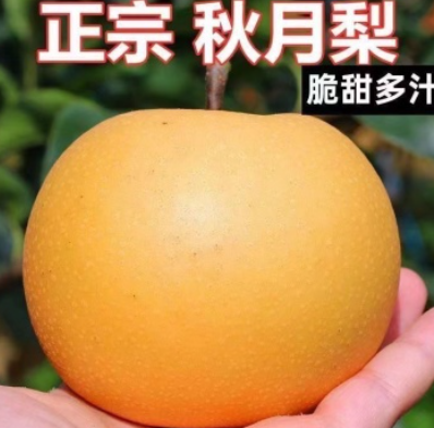 http://st-static1.fengjinggs.com/forums/2025/07/29/17537865122719.png