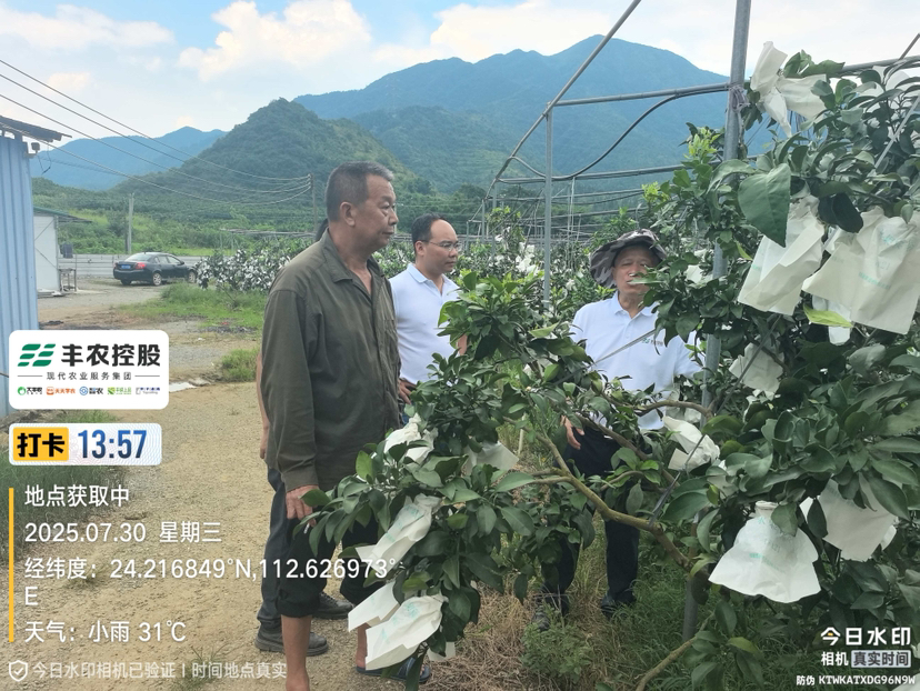 http://st-static1.fengjinggs.com/forums/2025/07/31/17539588605789.png