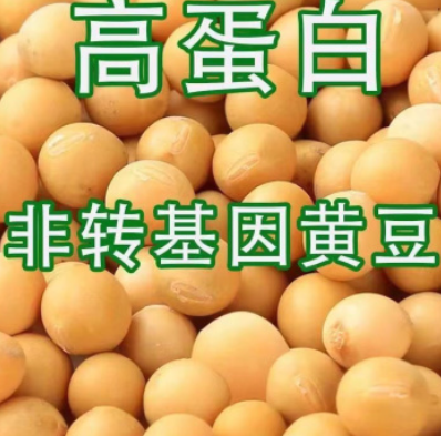 http://st-static1.fengjinggs.com/forums/2025/08/06/17544750598565.png