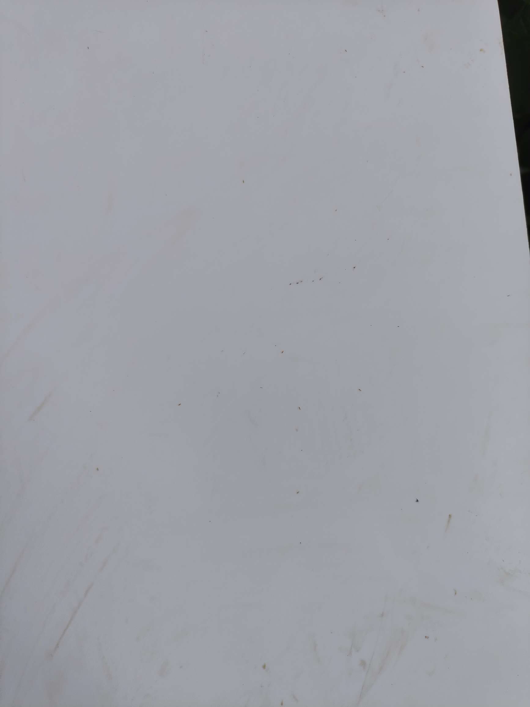 http://st-static1.fengjinggs.com/forums/2025/08/18/17555288245629.jpeg