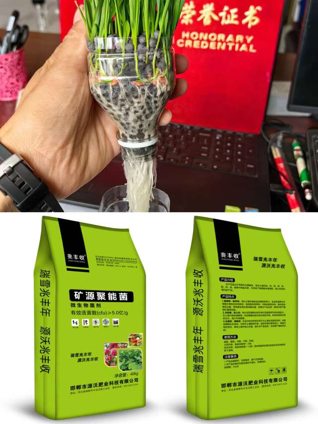 http://st-static1.fengjinggs.com/forums/2025/09/27/17589569833781.jpeg