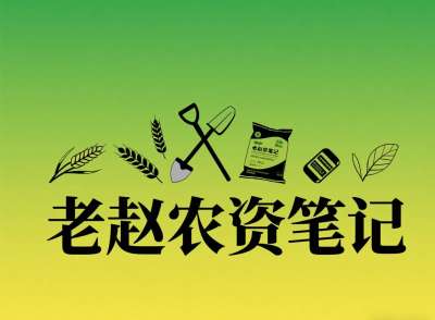 乡镇农资店对接厂家：不是否定代理，是找对&ldquo;有前景的小厂&rdquo;补增量