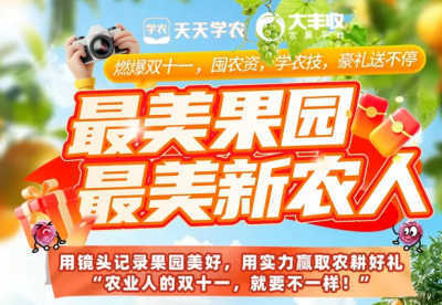 丰农控股2025年 &ldquo;最美果园&rdquo;&ldquo;最美新农人&rdquo; 评选活动启动，助力农业风采展示