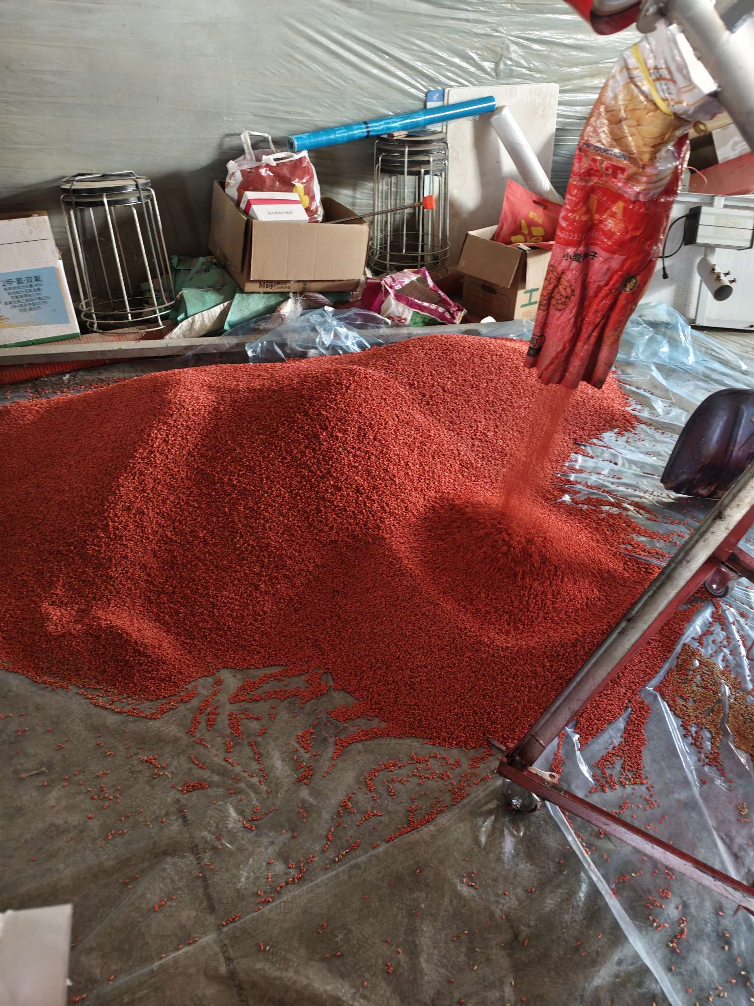 四冠包衣拌种，防虫防病壮苗增产。