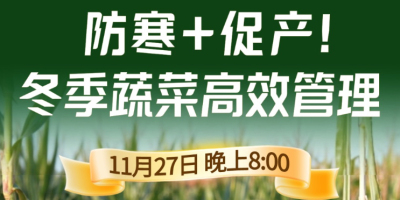 《细说农技》专家张宝林教冬季蔬菜防寒 + 促产高效管理，27 日晚 8 点！
