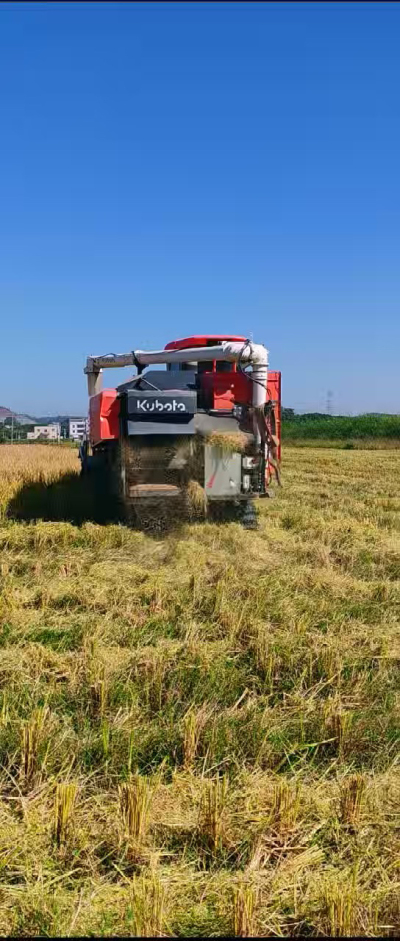 惠州基地，无人拖拉机收水稻了。