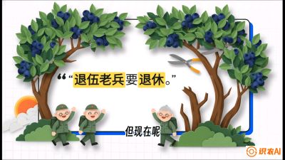 第7节：修剪决定产量（下）&mdash;&mdash;结果树的更新与疏果，课程：《蓝莓&ldquo;高产&rdquo;实战课：从选苗到丰收的10个关键点》