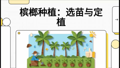第01节：选苗与定植&mdash;&mdash;&ldquo;苗好一半收，底肥定千秋&rdquo;课程：《槟榔种植：从不懂到精通的10堂必修课》