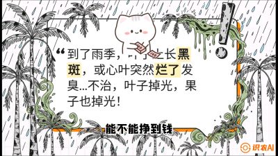 第05节：常见真菌病害&mdash;&mdash;&ldquo;炭疽与烂心，早防值千金&rdquo;《槟榔种植：从不懂到精通的10堂必修课》
