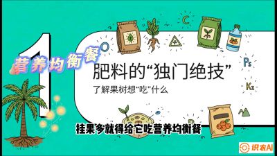 第07节：科学施肥&mdash;&mdash;&ldquo;氮磷钾配好，树壮果不倒