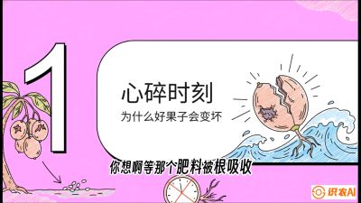 第08节：微量元素与保果&mdash;&mdash;&ldquo;补硼又补钙，果子不裂坏&rdquo;《槟榔种植：从不懂到精通的10堂必修课》