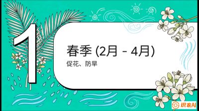 第10节：周年农事日历&mdash;&mdash;&ldquo;跟着节气走，丰产在手头&rdquo;《槟榔种植：从不懂到精通的10堂必修课》
