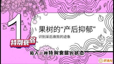 第2节：【冬肥策略】采后&ldquo;月子肥&rdquo;：大小年的精准干预术，课程：《柑橘底肥&ldquo;翻身账&rdquo;：从改土到高产的实战全书》