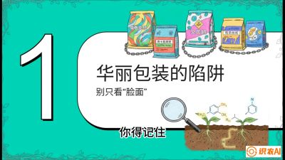 第4节：【黄金配方】底肥里的&ldquo;铁三角&rdquo;与&ldquo;微量雷区&rdquo;课程：《柑橘底肥&ldquo;翻身账&rdquo;：从改土到高产的实战全书》