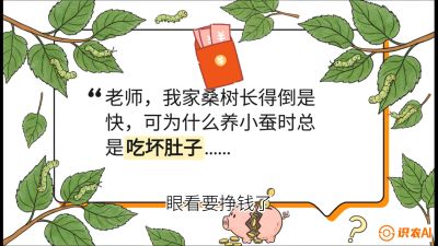第01节：不仅仅是树&mdash;&mdash;顶级品种选配策略，课程：《桑海淘金：桑树高产与蚕桑安全进阶实战课》