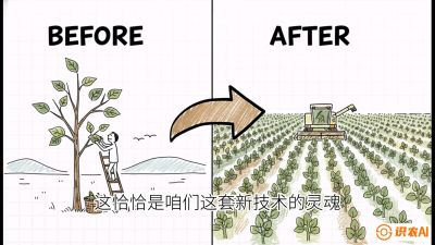 第02节：把树变成草&mdash;&mdash;&ldquo;草本化密植&rdquo;技术，课程：《桑海淘金：桑树高产与蚕桑安全进阶实战课》