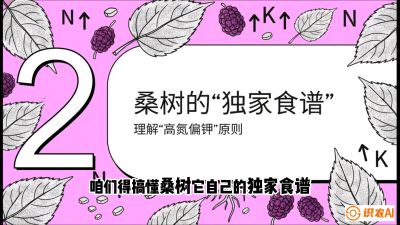 第04节：地下核动力&mdash;&mdash;桑树专用水肥一体化配方，课程：《桑海淘金：桑树高产与蚕桑安全进阶实战课》