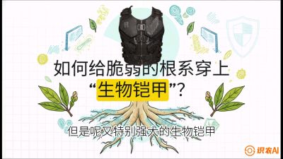 第三节：国产榴莲突围战：根系堡垒，菌根微生态构建与黄金定植窗口，课程：《国产榴莲突围战：从泰国经验到中国实操的8堂必修课（高阶实战版）》