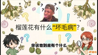 第六节：榴莲的午夜战事，夜间授粉战与花果期避雨策略，课程：《国产榴莲突围战：从泰国经验到中国实操的8堂必修课（高阶实战版）》