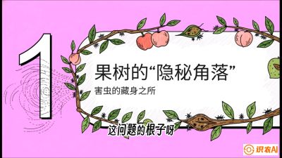 第3节：无人机专治&ldquo;打不透&rdquo;&mdash;&mdash;果树与高杆作物的穿透技巧，课程：《无人机植保搞钱必修课：从&ldquo;瞎飞&rdquo;到&ldquo;懂行&rdquo;的6步进阶》