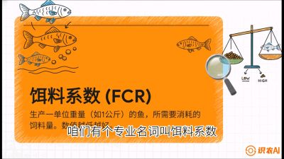 第五节：【高端单品&middot;鳜鱼】&ldquo;饲料鳜&rdquo;技术：打破吃活饵的高成本魔咒，课程：《黄金鳞甲：2025中国淡水鱼高效养殖实战营》