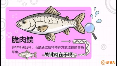 第六节：【老品升级&middot;脆肉鲩】如何让草鱼身价翻倍？，课程：《黄金鳞甲：2025中国淡水鱼高效养殖实战营》