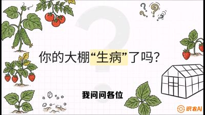 第2节（解毒篇）： 大棚里的&ldquo;红白绿&rdquo;警报&mdash;&mdash;读懂土壤盐渍化的求救信号，课程：《揭秘土壤的秘密：让土地帮你赚钱》#识农AI