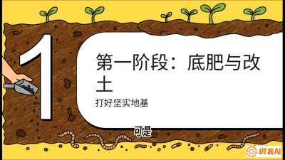 第6节（统筹篇）： 省钱又增产的&ldquo;黄金配比&rdquo;&mdash;&mdash;不同作物全年的养土实操方案，课程：《揭秘土壤的秘密：让土地帮你赚钱》#识农AI