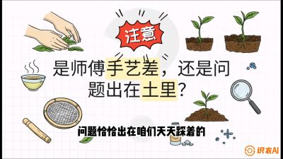 第02节（土肥篇）：告别&ldquo;苦涩水味&rdquo;：揭秘&ldquo;碳氮比&rdquo;调控术，种出自带兰花香的好茶底，课程：《茶金时代：从&ldquo;看天吃饭&rdquo;到&ldquo;精准控局&rdquo;的茶叶高产提质实战课》