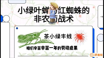 第03节（虫害篇）：看不见的吸血鬼：小绿叶蝉与红蜘蛛的&ldquo;非农药&rdquo;团灭战术（抗性治理），课程：《茶金时代：从&ldquo;看天吃饭&rdquo;到&ldquo;精准控局&rdquo;的茶叶高产提质实战课》