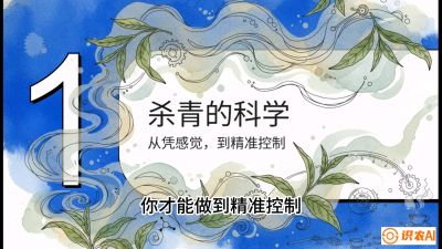 第05节（加工篇）：决胜2分钟：用&ldquo;数字温控&rdquo;破解杀青不匀，复刻大师级手工口感，课程：《茶金时代：从&ldquo;看天吃饭&rdquo;到&ldquo;精准控局&rdquo;的茶叶高产提质实战课》