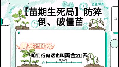 第2节：【苗期生死局】防猝倒、破僵苗，决定后期产量的&ldquo;黄金20天&rdquo;，课程：《辣椒种植实战特训营，从工业辣椒到精品小米辣，教你如何把&ldquo;草&rdquo;种成&ldquo;金&rdquo;》