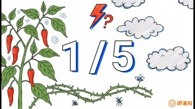 第6节：【花果爆发术】落花落果的五大元凶，与&ldquo;三喷一保&rdquo;坐果黑科技，课程：《辣椒种植实战特训营，从工业辣椒到精品小米辣，教你如何把&ldquo;草&rdquo;种成&ldquo;金&rdquo;》