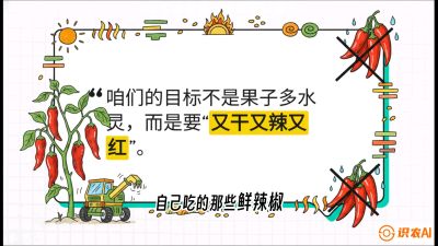 第7节：【工业辣椒专场】追求极致辣度！干物质提升与机械化采收的&ldquo;催红秘籍&rdquo;，课程：《辣椒种植实战特训营，从工业辣椒到精品小米辣，教你如何把&ldquo;草&rdquo;种成&ldquo;金&rdquo;》